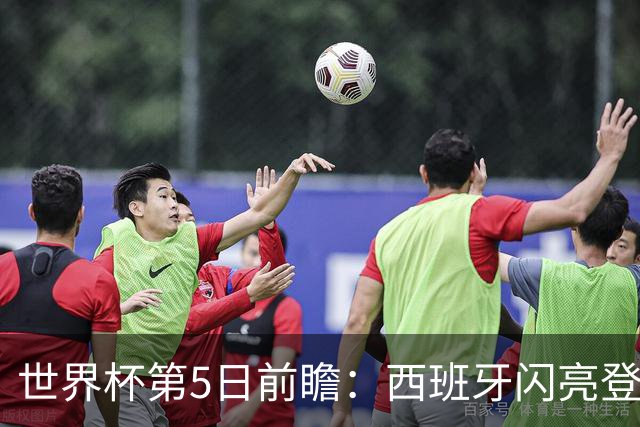 世界杯第5日前瞻：西班牙闪亮登场 伊沙亮相力争开门红