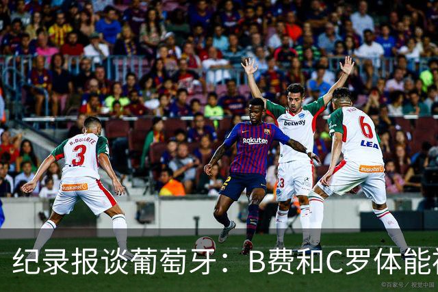 纪录报谈葡萄牙：B费和C罗体能被逼到了极限 主力未得到充分休息